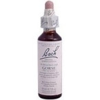 Bach Gorse (1x20 ML)